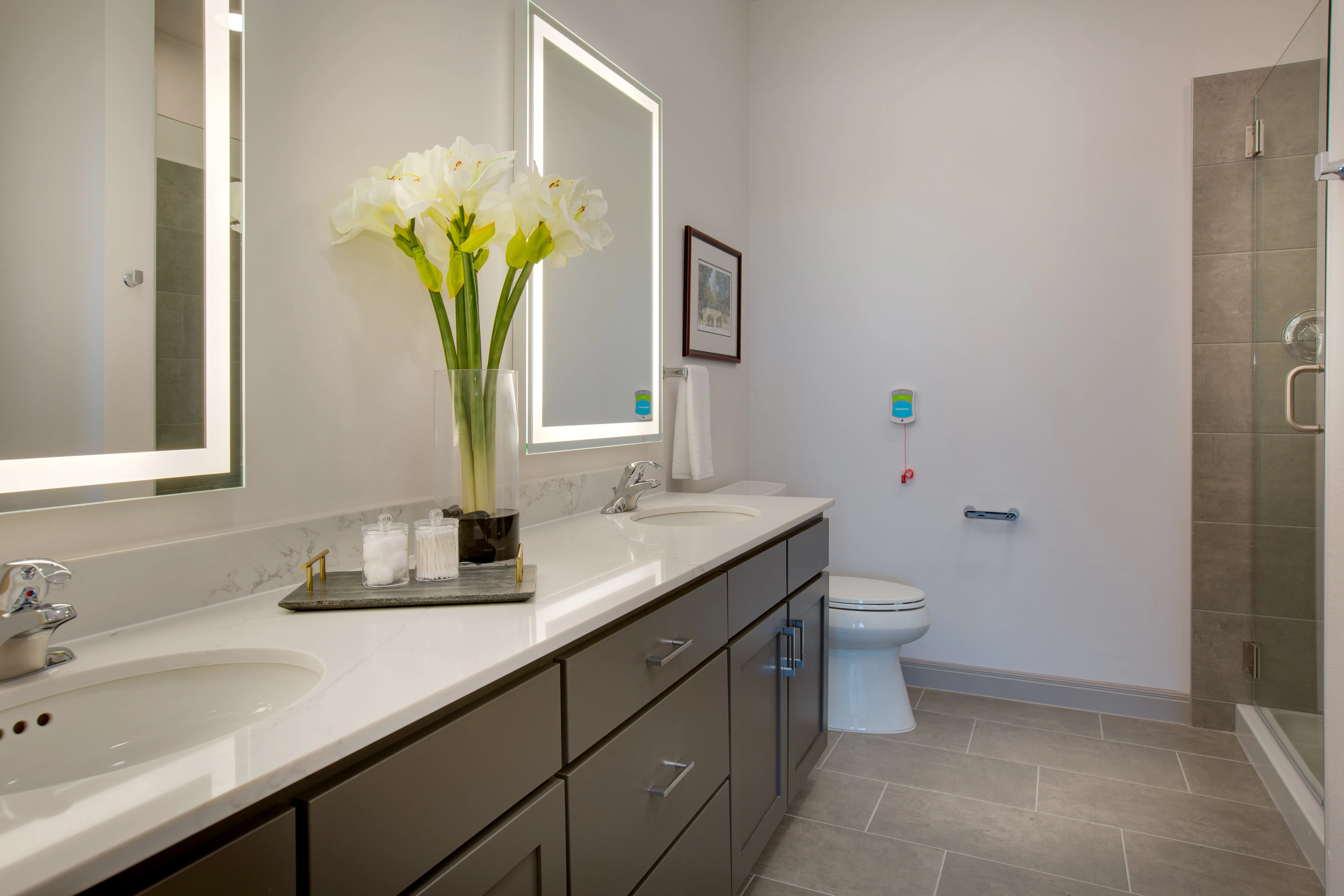 Apartment Home Bathroom
